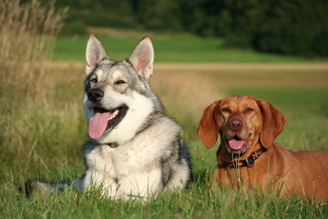 Siwan und Aisha 7