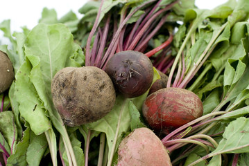 Red raw beets piled high at a market.