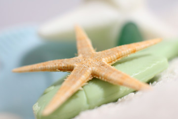 étoile de mer