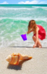 Young girl collecting seashells next to pretty ocean