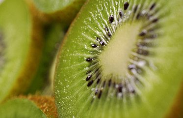 kiwi