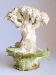 Cauliflower tree