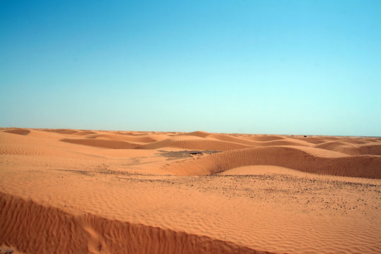 paysage désert