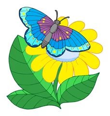 Crédence de cuisine en verre imprimé Papillon Papillon sur fleur jaune