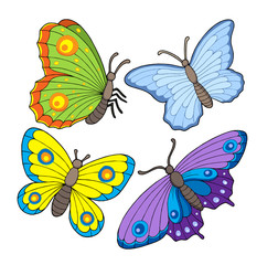 Papillon collection 2