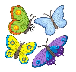 Photo sur Plexiglas Papillon Papillon collection 2