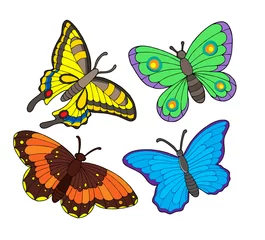 Photo sur Plexiglas Papillon Collection de papillons