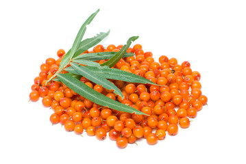 Sea buckthorn berries and leaves isolated on the white