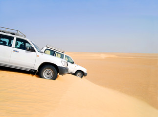 Fototapeta na wymiar Desert safari