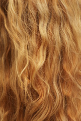 Naklejka premium Long hair of the blonde. Close-up
