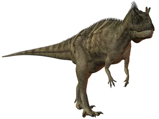 Wandaufkleber Ceratosaurus nasicornis-3D Dinosaurier © Andreas Meyer