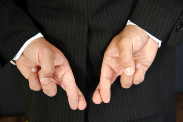 Business & Doppellüge