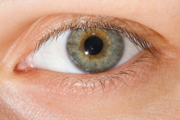 Human eye