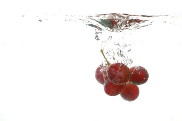 Fototapeta na wymiar grape water splash isolated freshness concept