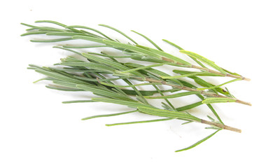 Rosemary fresh leaves