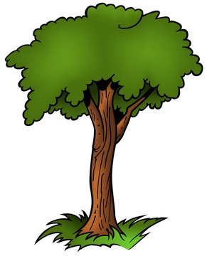 Tree 07 - cartoon illustration