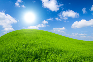 Obraz na płótnie Canvas green meadow and sunny sky