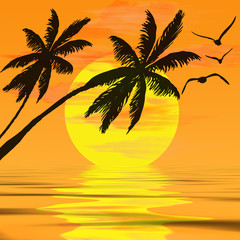 Sunset palm trees and reflection