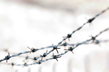 Barbwire abstract picture, overblown