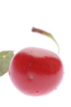 single cherry