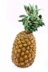 The ripe tropical pineapple with green  leaves
