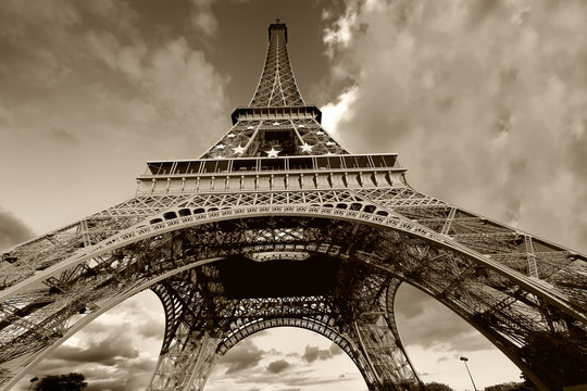 Fototapeta Torre eiffel en blanco y negro, Paris (France)