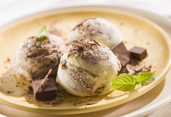 fresh chocolate and vanilla ice cream close up