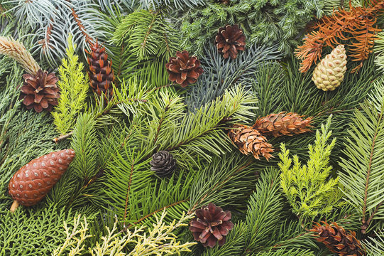 Christmas background
