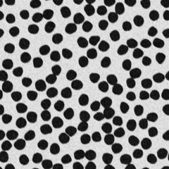 Textura piel de Leopardo