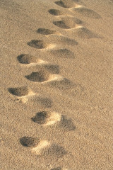 Footsteps in the dunes