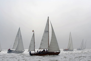 Regatta