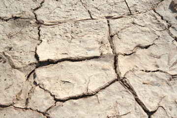Dry Soil Texture