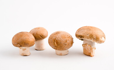 Button Mushrooms