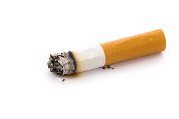 A Cigarette Butt with white background