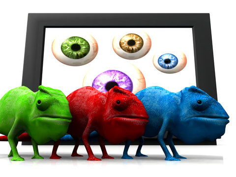 la t&eacute;l&eacute;vision et les cam&eacute;l&eacute;ons couleurs