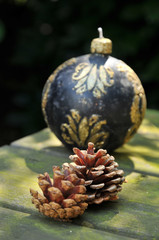Pine cones outdoor with christmas