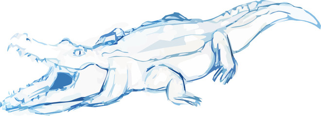 crocodile illustration