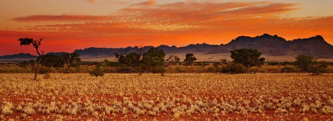 Fotobehang Baksteen Kleurrijke zonsondergang in de Kalahari-woestijn, Namibië  © Dmitry Pichugin