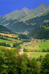 Fototapeta na wymiar Blisko Gruyeres, Kanton Fryburg, Szwajcaria