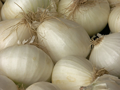 Ognons Bilder Durchsuchen 235 Archivfotos, und Videos