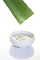 Aloe Vera sliced leaf with juice drop on white bowl