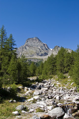 Fototapeta na wymiar Alpe Veglia italian natural park i Monte Leone