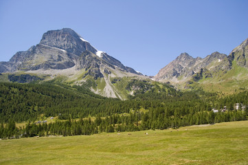 Fototapeta na wymiar Alpine scenary