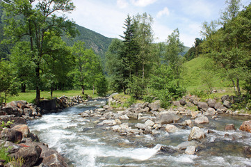 torrent