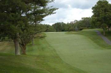 Golf green