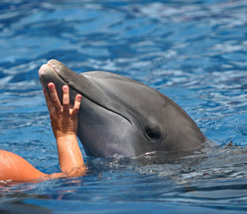 sweet encounter