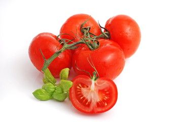 fresh tomatoes