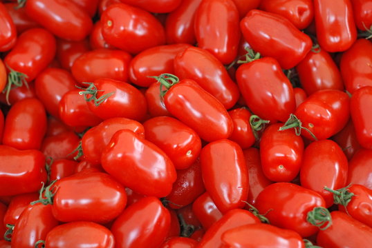 Frisch tomaten