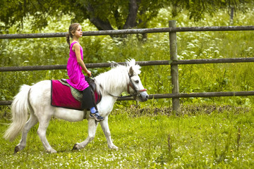 Sweet little girl in pink dress with her white pony