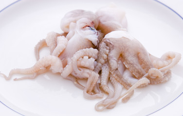 Raw Baby Octopus on a plate